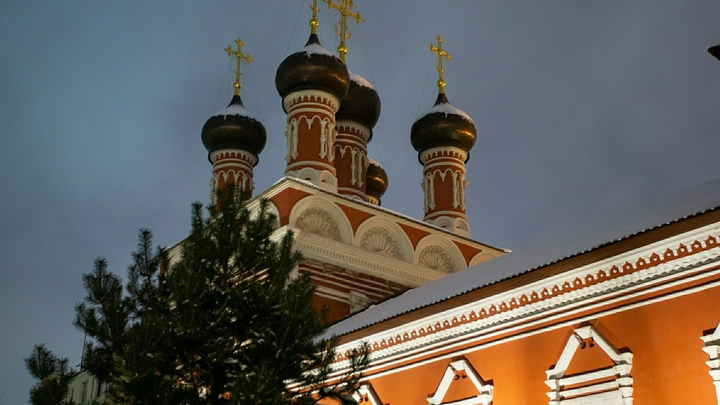Это глобальное бедствие: Представители Русской Церкви рассказали о реальной помощи в пандемию