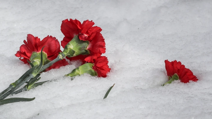 На СВО погиб 63-летний контрактник, спасая молодого сослуживца