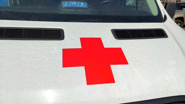 В Прикамье пенсионерка попала в больницу после ДТП с лосем