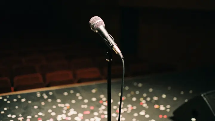 Буланова — о танцорах: Бросили в разгар тура