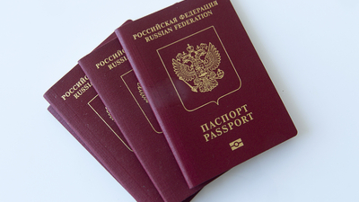 На сжегшего русский паспорт блогера Шпака завели уголовное дело