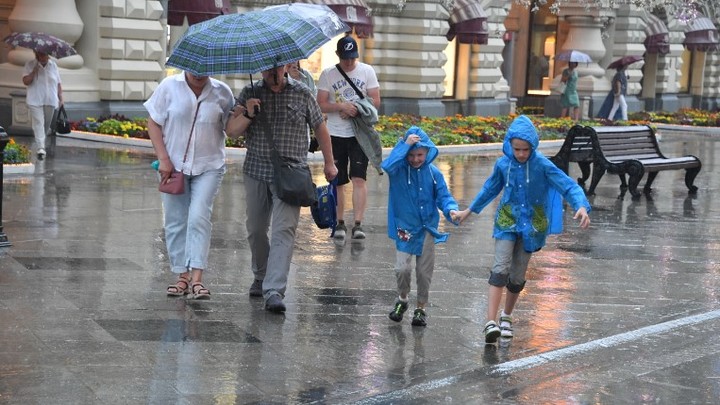 Британские извращенцы хлынули в Польшу. Independent: Они охотятся за украинскими детьми