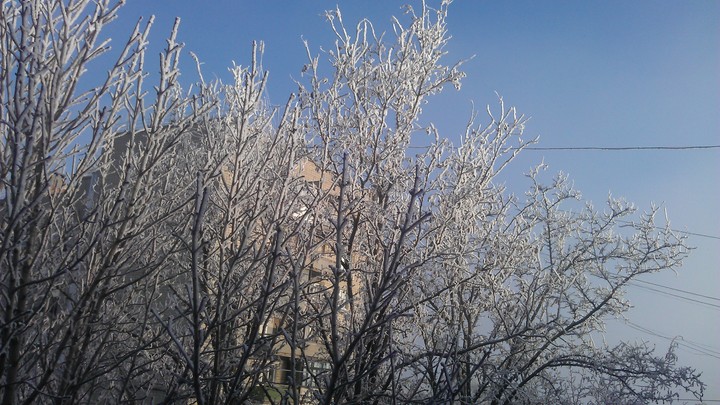 Погода в Ростове-на-Дону 9 января 2024: прогноз синоптиков Погода в Ростове-на-Дону 9 января 2024: прогноз синоптиков