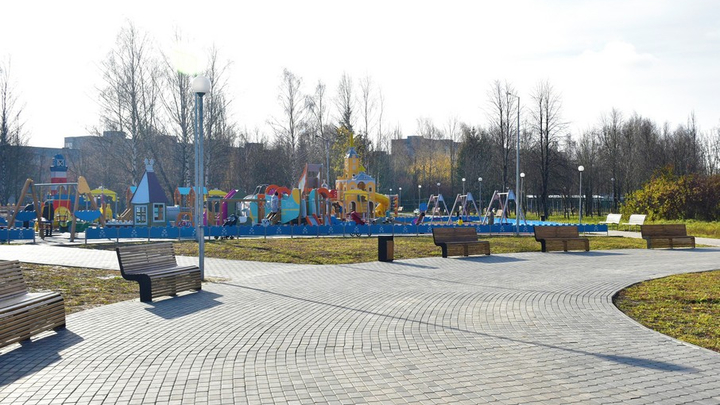 В парке Добросельский уничтожили 444 дерева