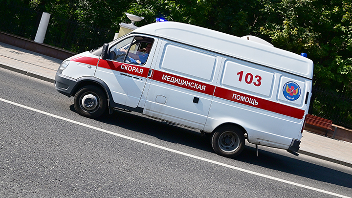 В Новосибирской области погибла 11-летняя воспитанница школы-интерната