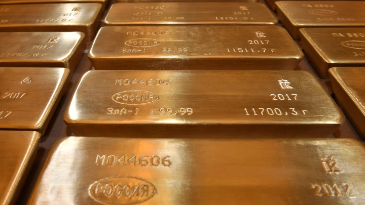 Косил траву и стал миллионером: житель Германии нашел в канализации 2,8 млн.руб