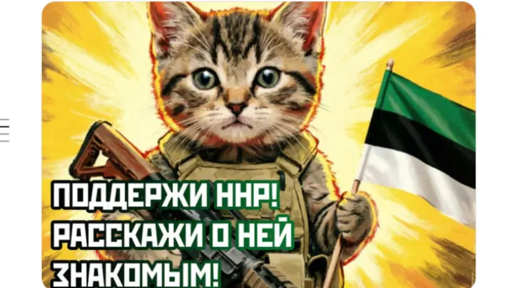 Politico: Власти Эстонии напугали тиктоки с котиками и Нарвской народной республикой