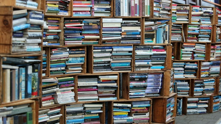 Екатеринбурженка открыла в подъезде книжный приют