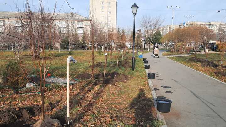 Более 100 зелёных зон появились в Новосибирской области по нацпроекту в 2021 году