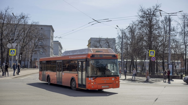 Названы самые популярные автобусные маршруты у нижегородцев в феврале