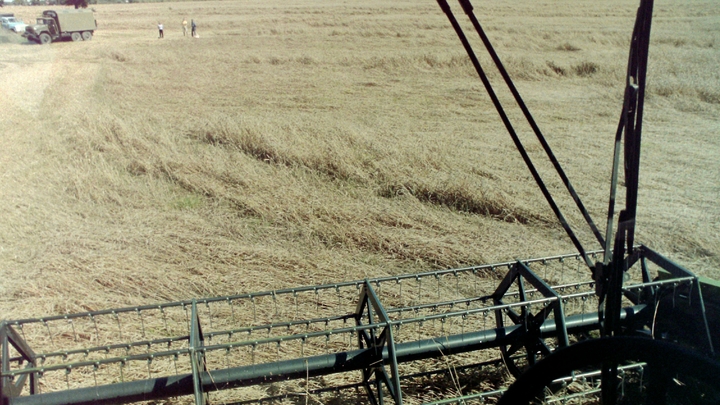 Shot: Комбайнёр Белгородской области случайно наехал на поле на мину Лепесток