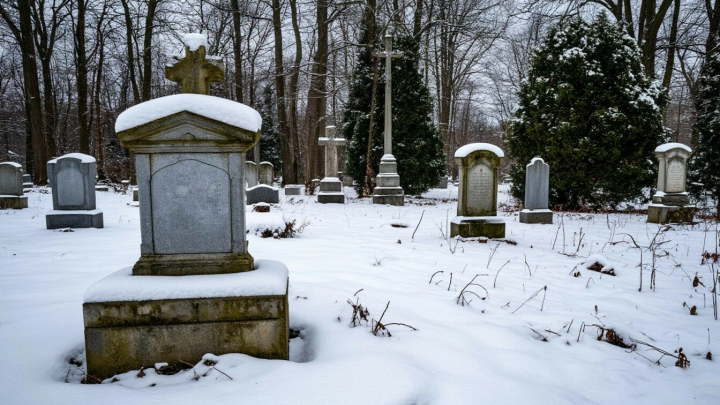 Нет памятника, портреты воткнуты в сугроб снега: Могилу актрисы Инны Чуриковой обнаружили в заброшенном состоянии