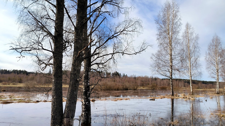 Мы боремся за город: Губернатор Шамков сообщил, что вода в Кургане снова начала прибывать