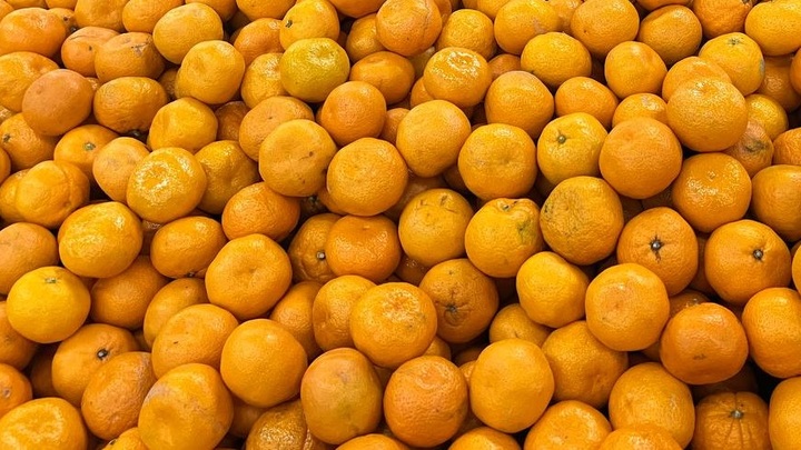 На Кубани в пунктах пропуска проверили более 60 тыс. тонн мандаринов из Турции, Абхазии и Ирана