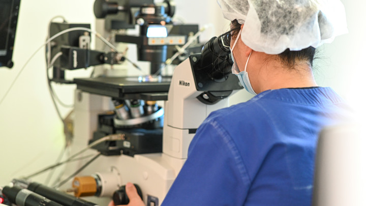 COVID-19 намного хуже гриппа? Учёные обнаружили загадочную сосудистую фазу