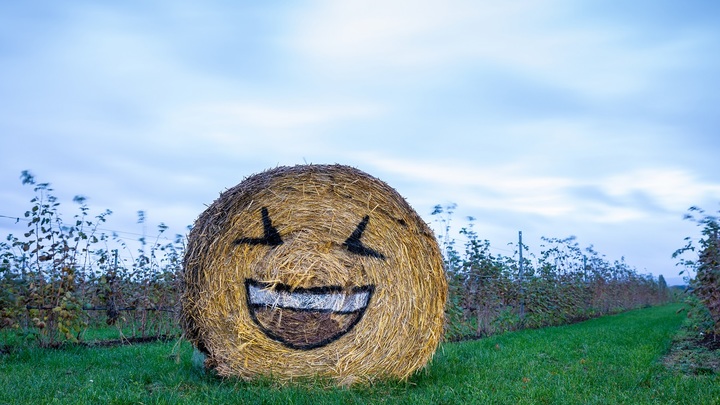 Британец много лет живёт в России. И пугает своих друзей в Манчестере русскими скобочками