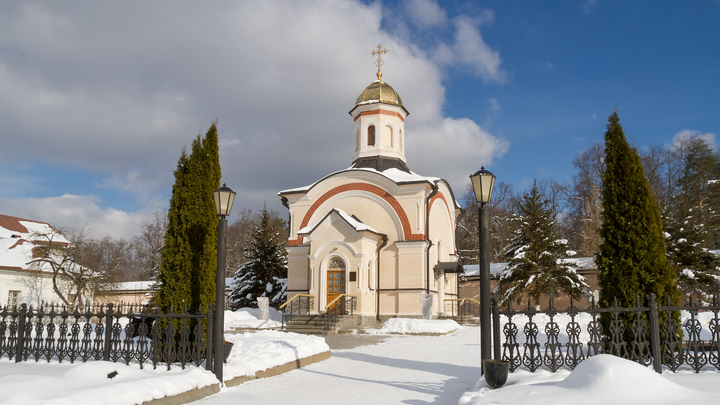 Преподобный нектарий оптинский фото