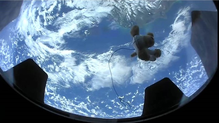 Кто останется, извлечёт урок: У Земли появится чёрный ящик на случай конца света - ABC