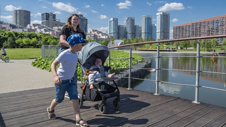 Эксперт подсказала, как добиться увеличения рождаемости в России: Поможет один шаг