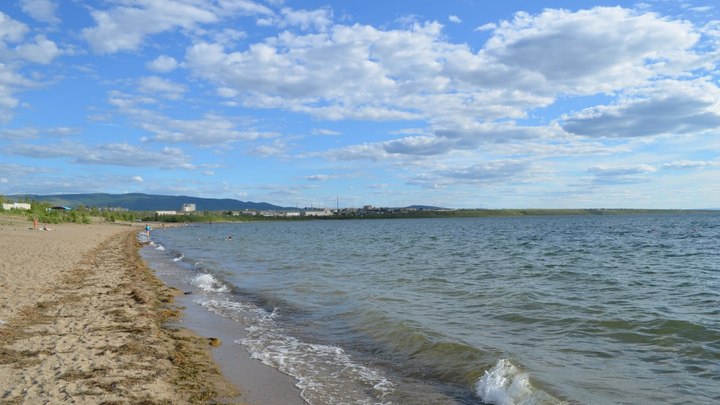Кишечную палочку нашли в реках Ингода и Никишиха в Забайкальском крае