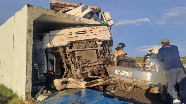 В ДТП с грузовиком на трассе в Новосибирской области погибли два человека
