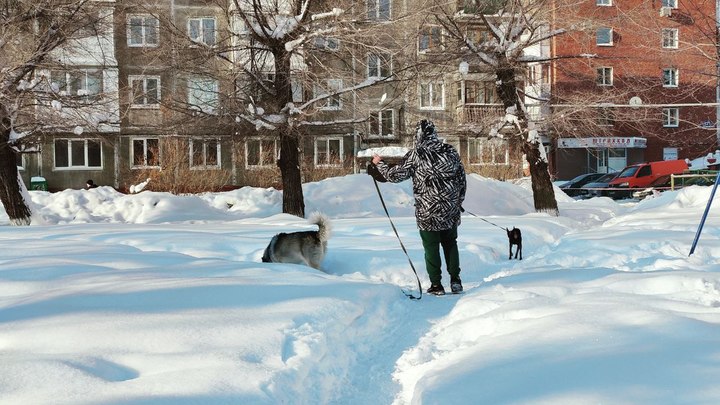 До -6 градусов потеплеет днем 13 февраля в Кузбассе