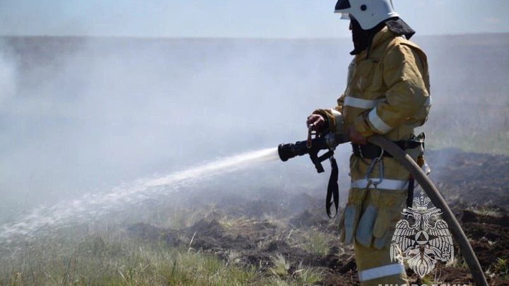 У границы Челябинска сгорело 4 гектара леса
