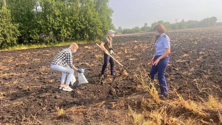 В Красноярском крае из-за обработки полей химикатами у дачников погибли огороды