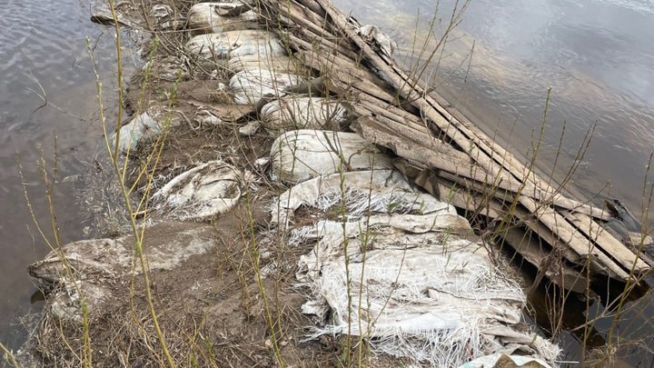 Русло загрязненной реки Удима в Котласе очистят по прокурорскому иску
