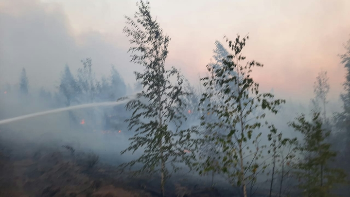 Лесовод скончался при пожаре в Воротынском районе