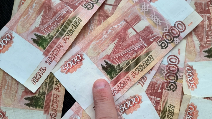От 4 до 16 миллионов за год: как рос доход жены арестованного экс-министра из Ростова