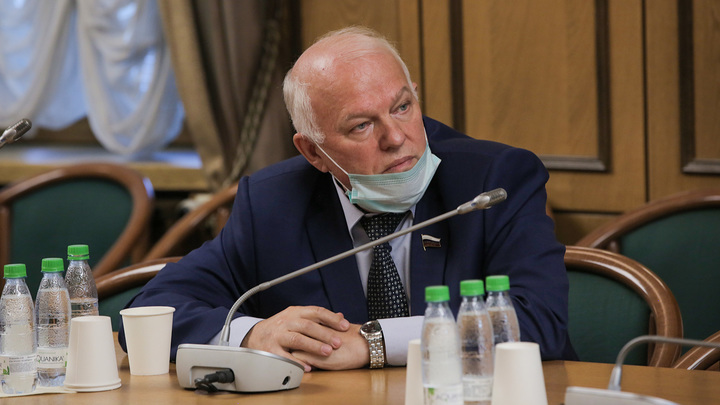 Депутат Грешневиков посоветовал жить натуральным хозяйством и любить традиционные ценности