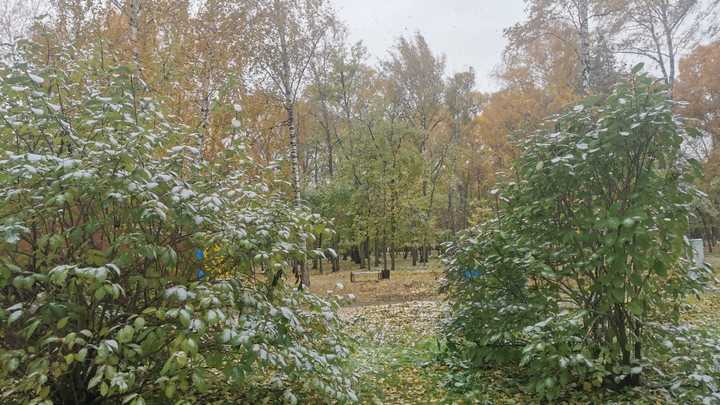 В Краснодарском крае прогнозируют похолодание