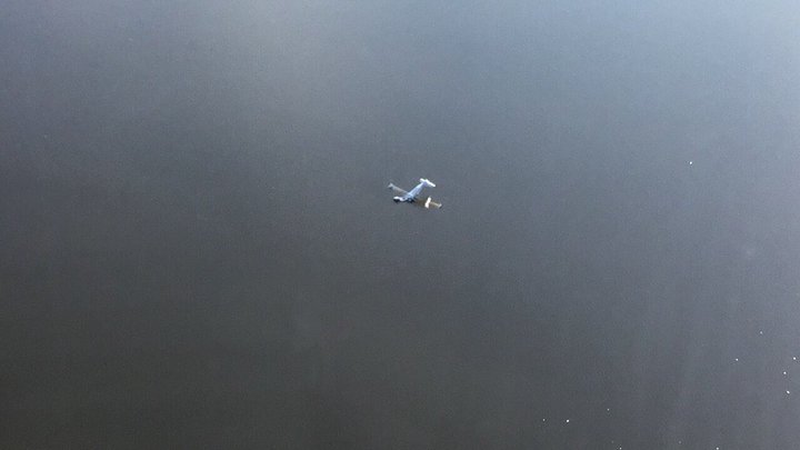 Гидросамолёт потерпел крушение над болотом в ХМАО