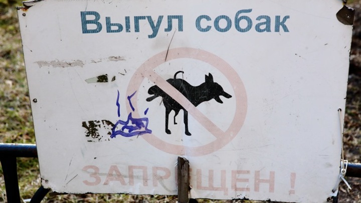 В Кемерове ограничат число мест для выгула собак