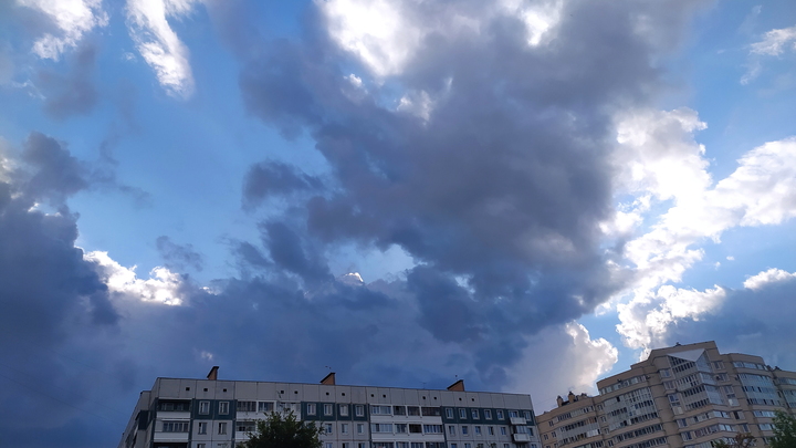 Понедельник порадует петербуржцев температурой +21