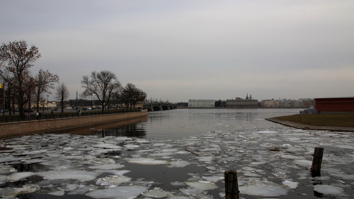 Водоёмы Петербурга покрылись первым льдом – самым опасным