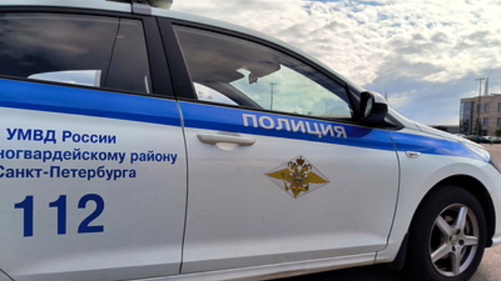 В Петербурге задержали обливших зеленкой адвоката Пономареву: что известно