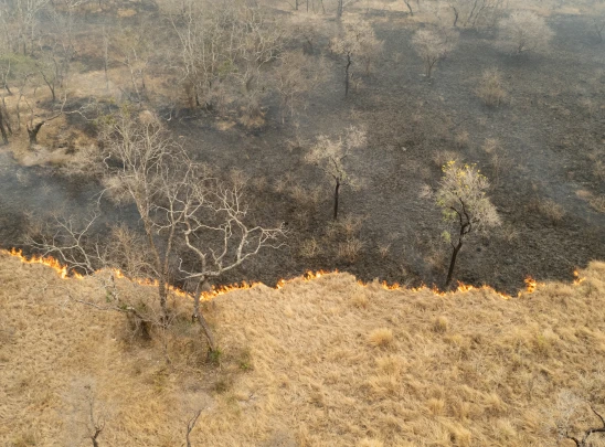 Погибнет 30 миллионов человек: Учёные — о неминуемых последствиях изменения климата