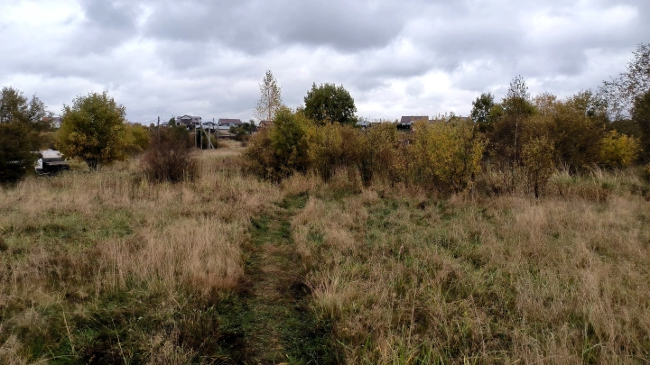 Зверь был рядом: жуткая история убийства Тани Кашириной, которая повергла в ужас всю страну