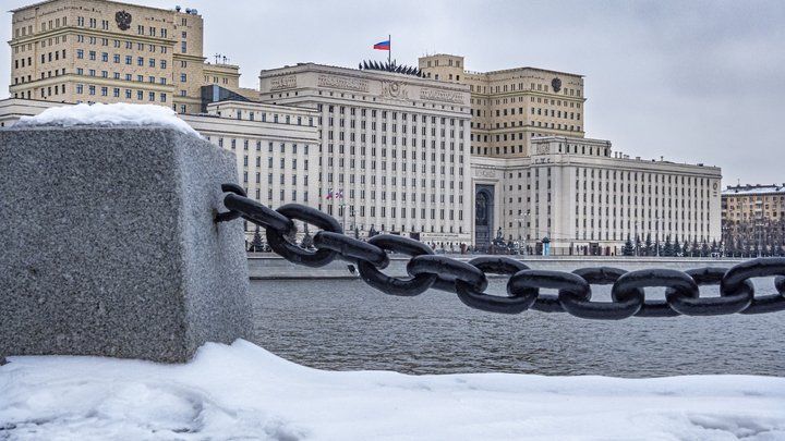 Тонущего пса по кличке Альф вытащили из Москвы-реки
