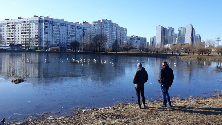 Около 300 присасываний: В Петербурге и Ленобласти выделили районы с клещами