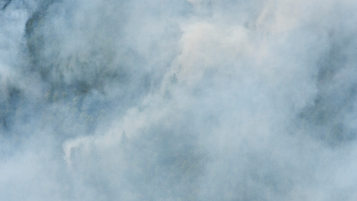 «В горле этот дым»: жители Соснового бора задыхаются из-за тлеющего торфа