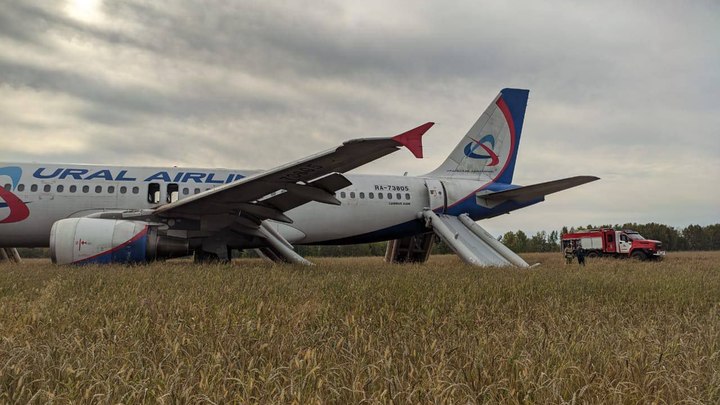 Заслуженный пилот России Сытник раскритиковал решение экипажа A320 садиться в поле
