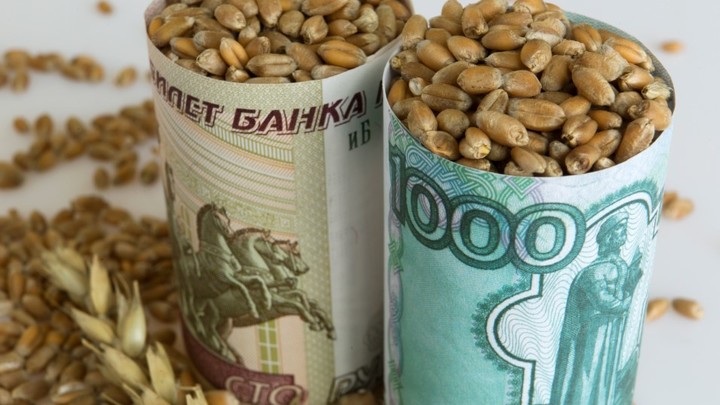 Сельская ипотека: Мишустин назвал новый размер кредита