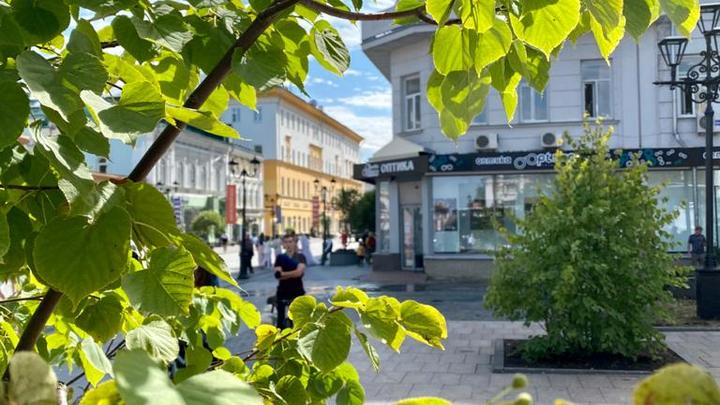 Деревья и кустарники посадили в сквере имени Евстигнеева в Нижнем Новгороде