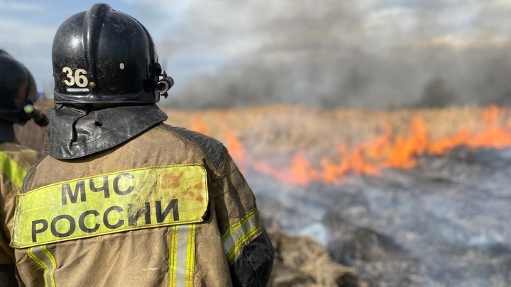 В Челябинской области сгорели дачи. Как вернуть деньги