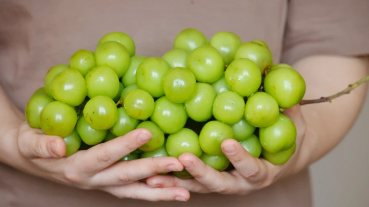 В Италии стали прогнозировать урожайность винограда при помощи дронов