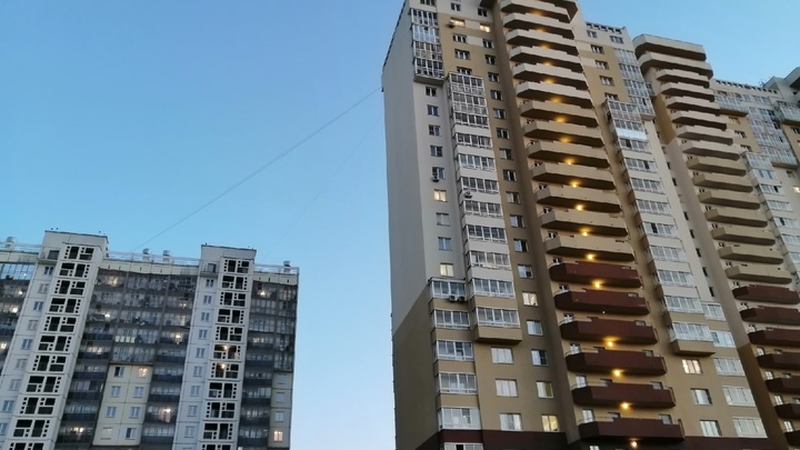 Ветврач рассказал, что надо сделать с живодёркой, что скинула собаку с 20-го этажа