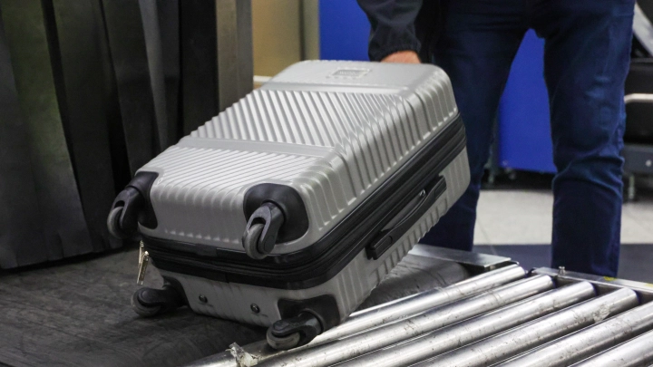 В цветущем саду неспокойно? Пока Каллас запрещает русский газ, прибалты перебираются в Россию